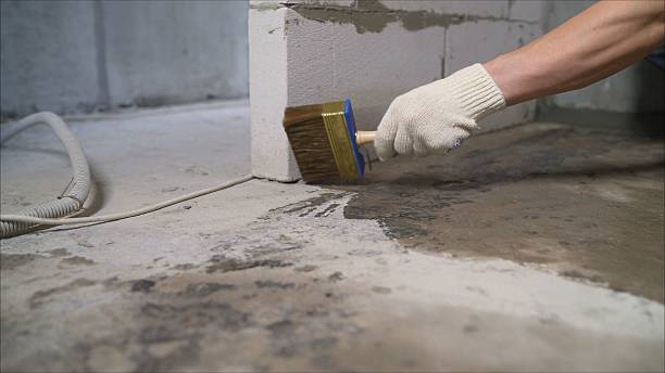 24/7 Emergency Interior Drainage System experts in Victoria, MN